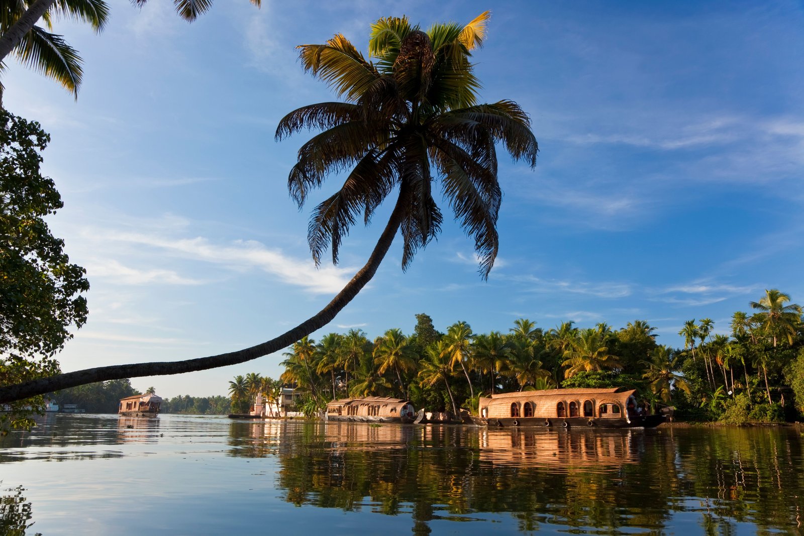 KERALA: <span class="orange-color">Il Paese di Dio</span>
